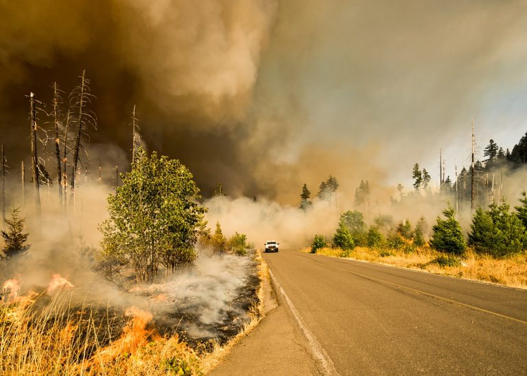 Wildfire Insurance Claim Guide